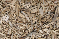 biomass boilers Yarcombe